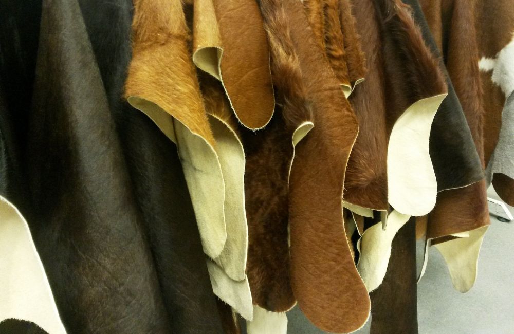 where does leather come from｜TikTok Search