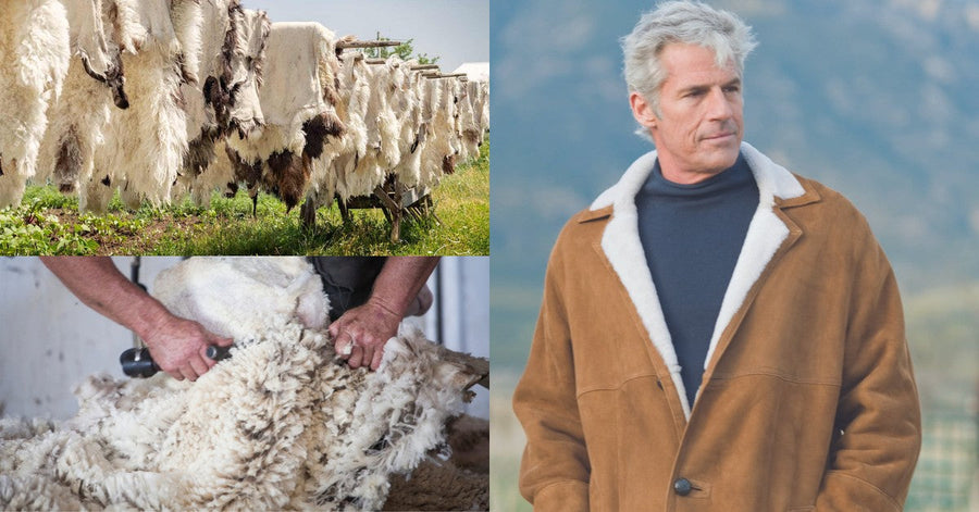 What is Shearling Coat? – Lusso Leather