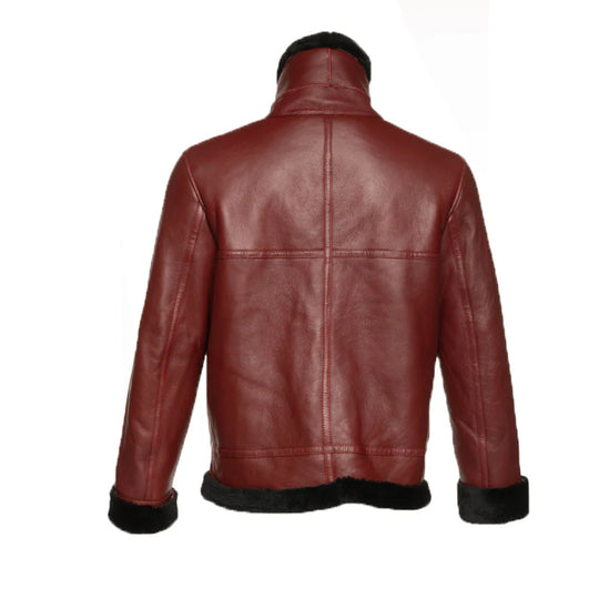 Aurelius Burgundy B3 Bomber Shearling Jacket for men with buckled high collar and black fur trim back view with white background.