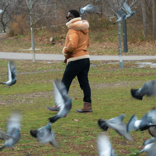 Person walking in a park wearing aviator shearling jacket with pigeons around in a winter setting.